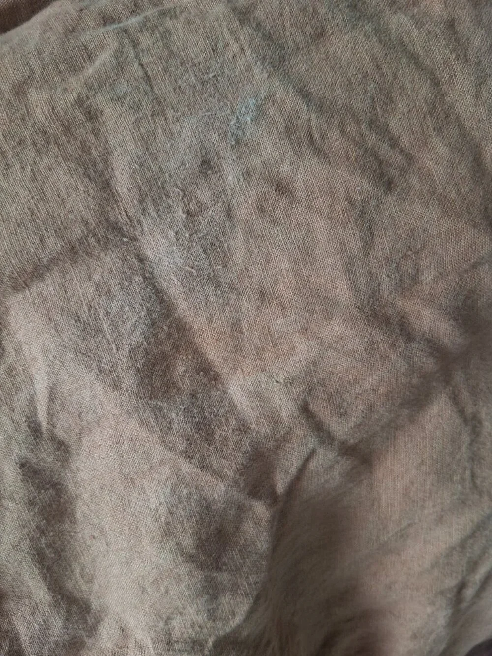 Bed Threads RUST F/Q Rust 100% Flax Linen Duvet Cover Set. 2 Euro Shams